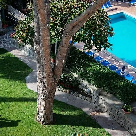 Отель Le Canne Family &